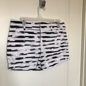 🎀 Calvin Klein Shorts